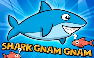 Image Gnam Gnam Shark